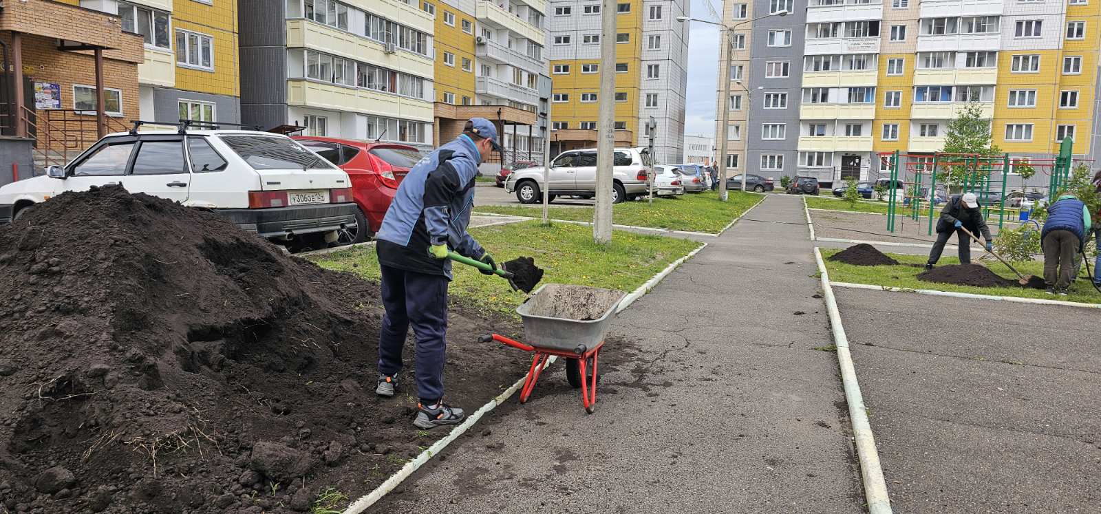 На ул. Ольховой высадили сирень изображение 1