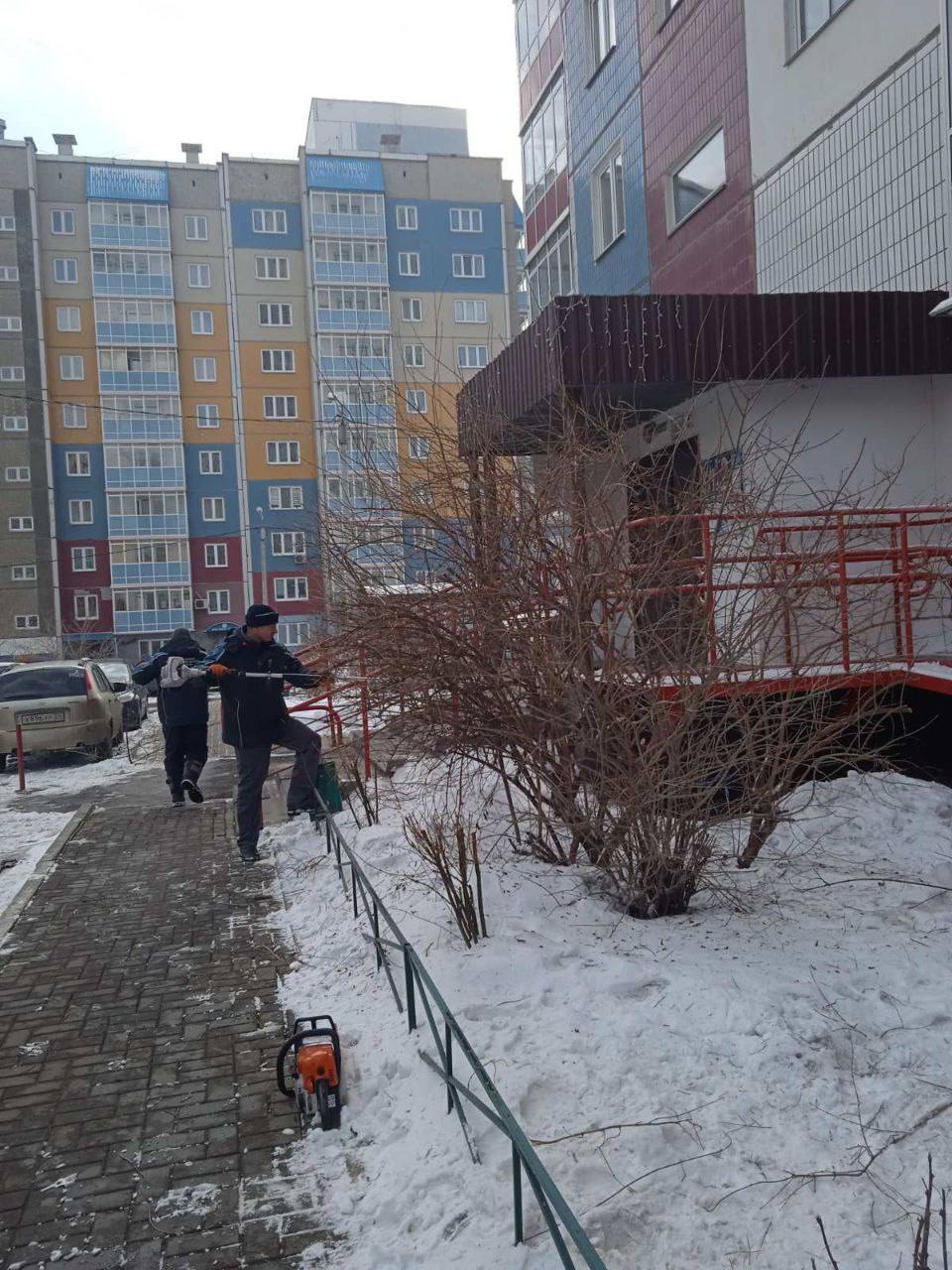 Придаем форму живой изгороди