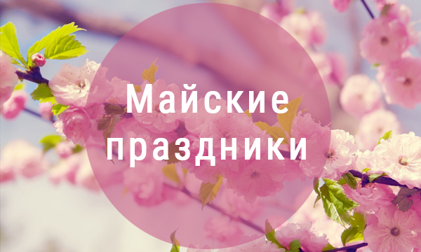 Мы работаем в праздничные дни. Мы работаем в праздничные дни.