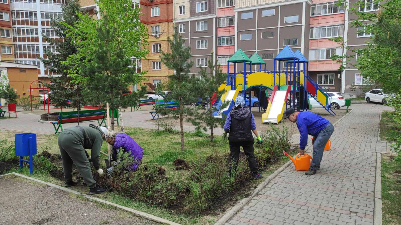 Пересадили кустарники на ул. Линейная, 105 изображение 1