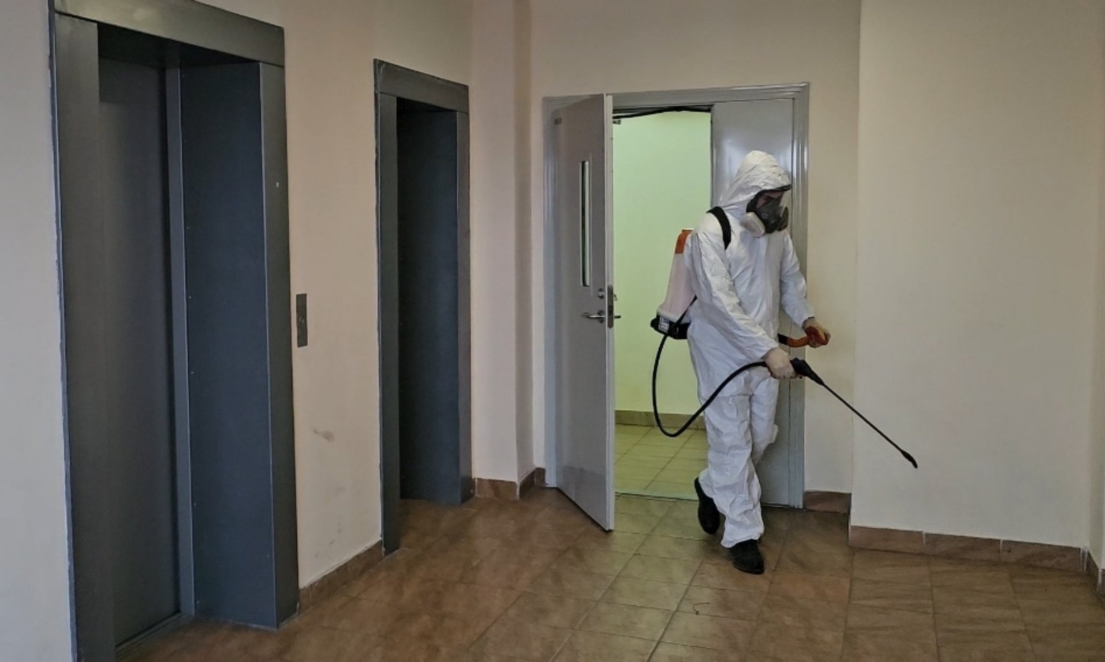 Проводим дезинсекцию подъездов и подвалов  изображение 1