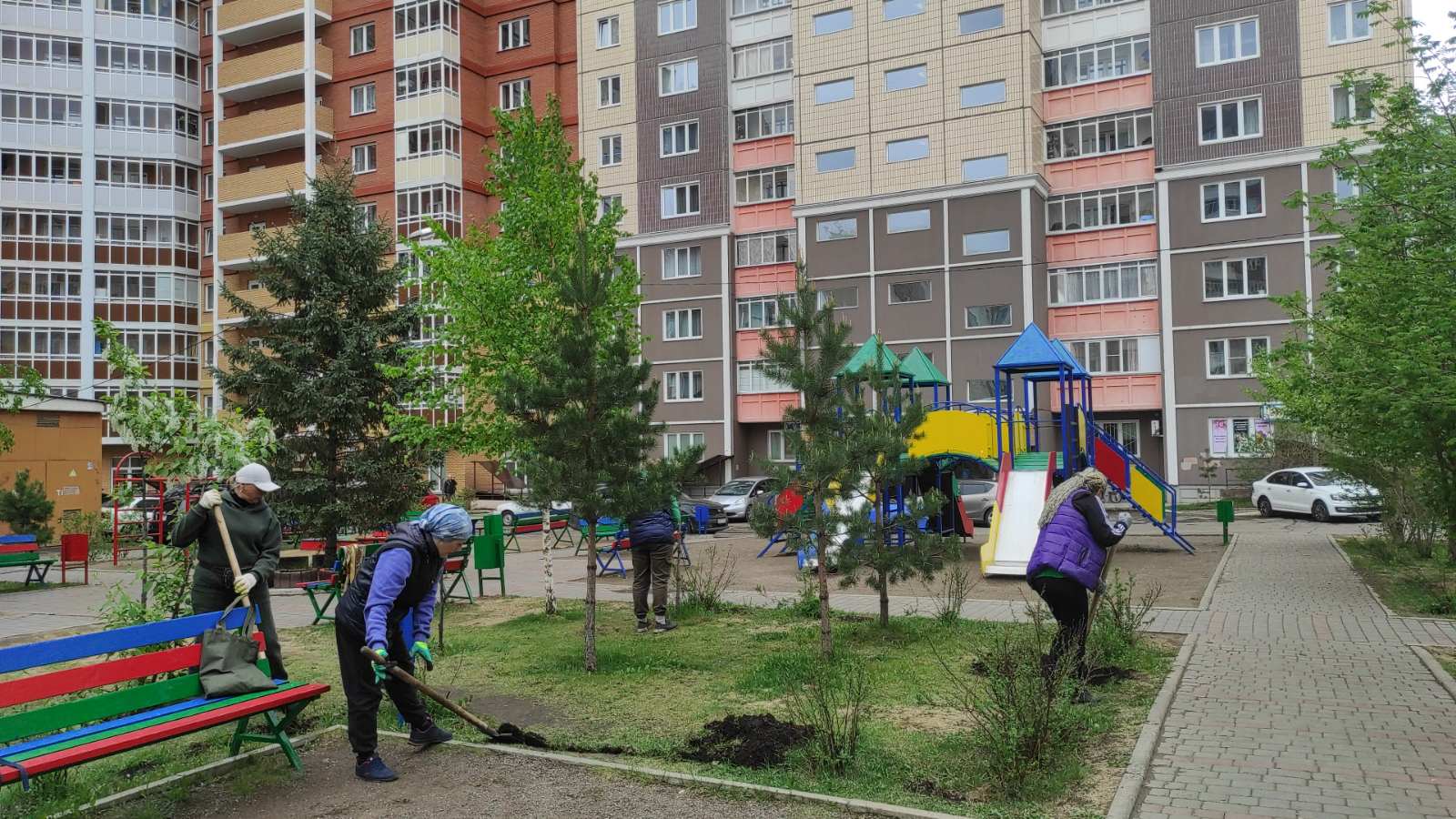 Пересадили кустарники на ул. Линейная, 105 изображение 1