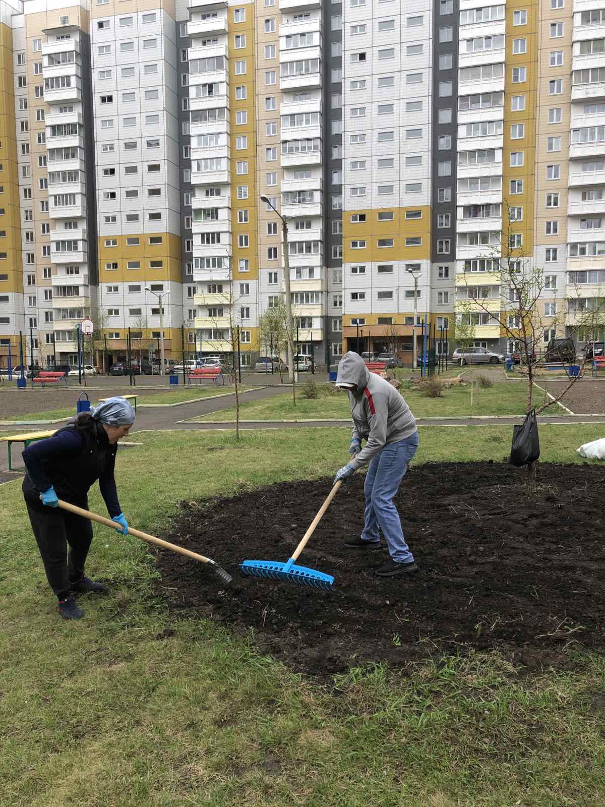 Готовимся раскрашивать дворы изображение 1