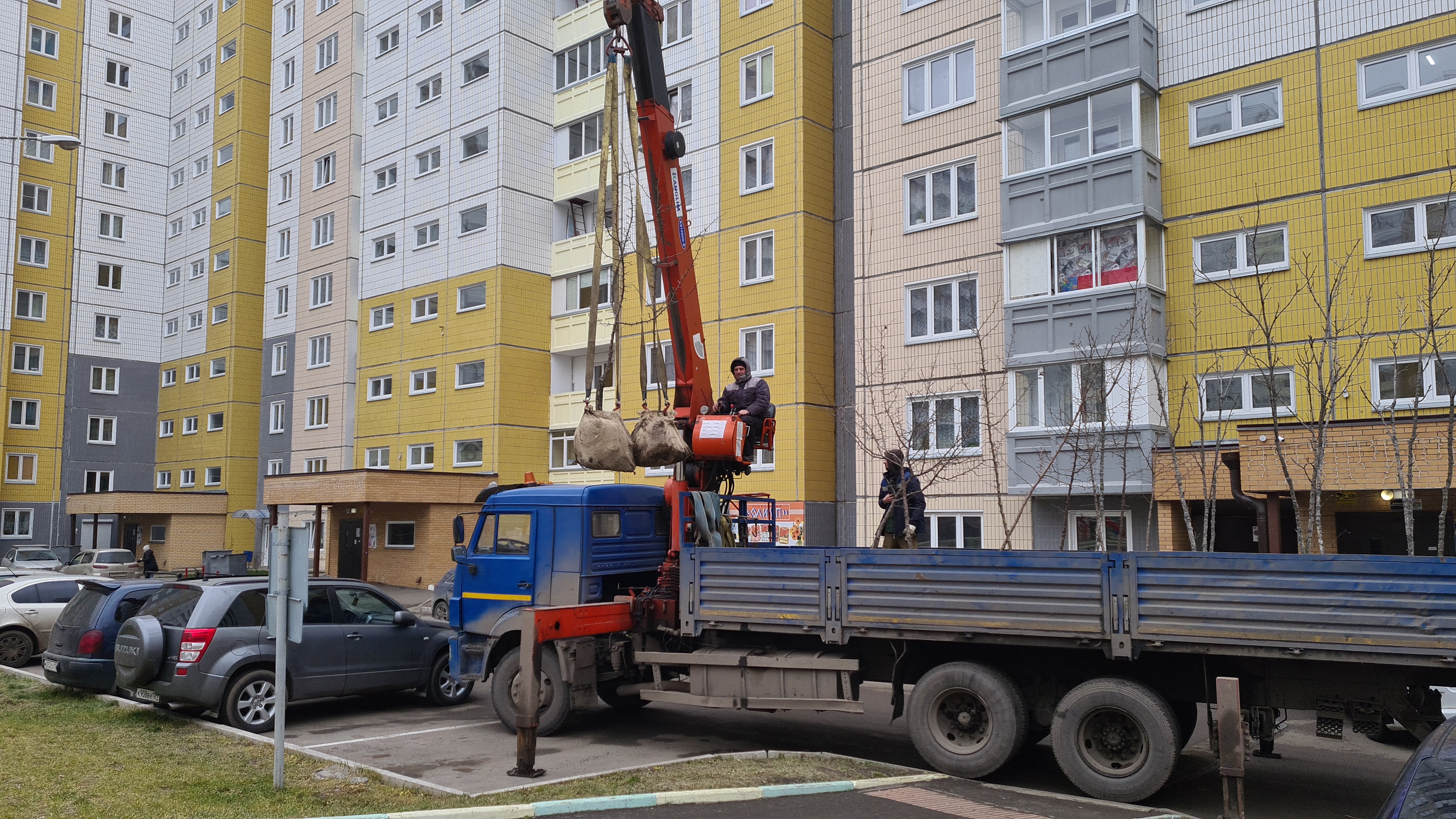 Дворы на ул. Ольховой украсят груши и ясени изображение 1