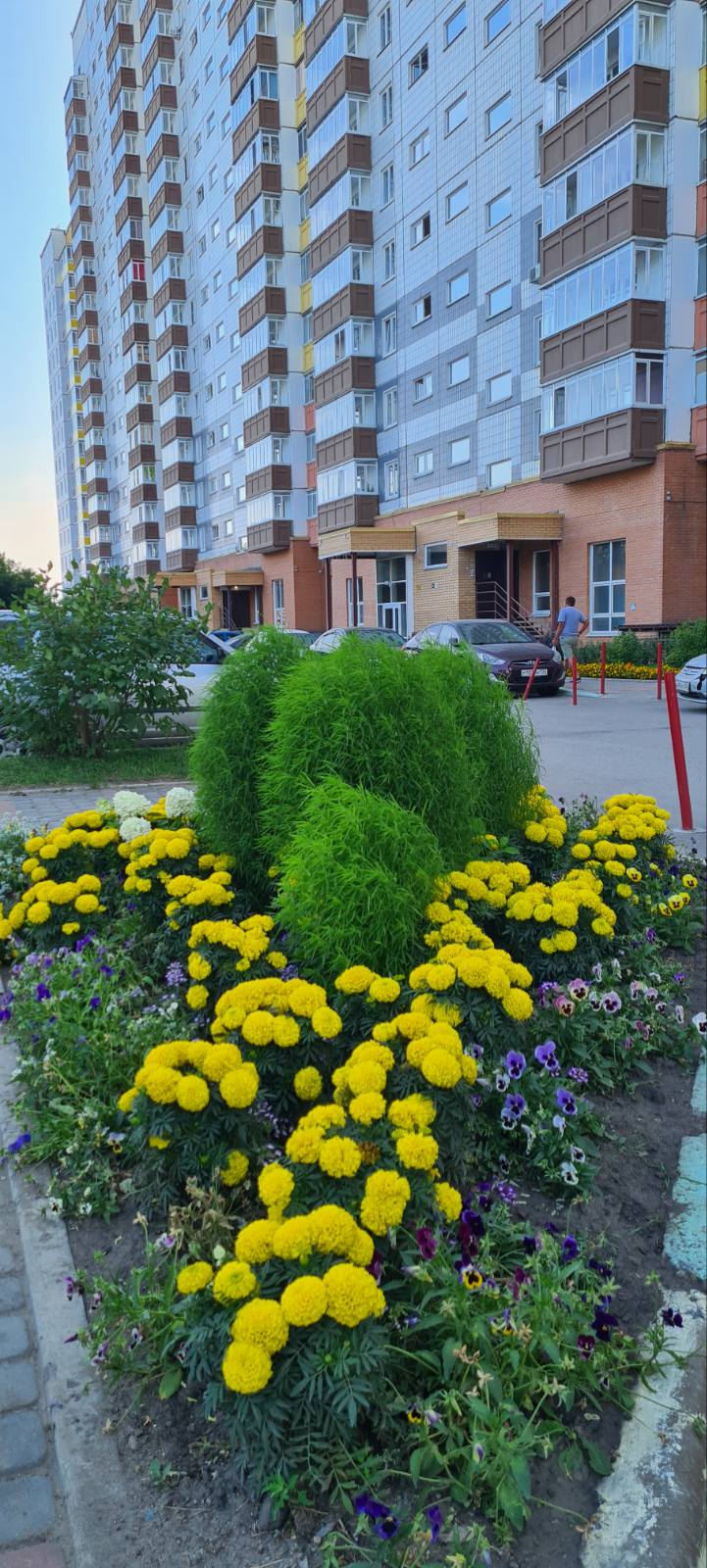 Красоты наших дворов изображение 1