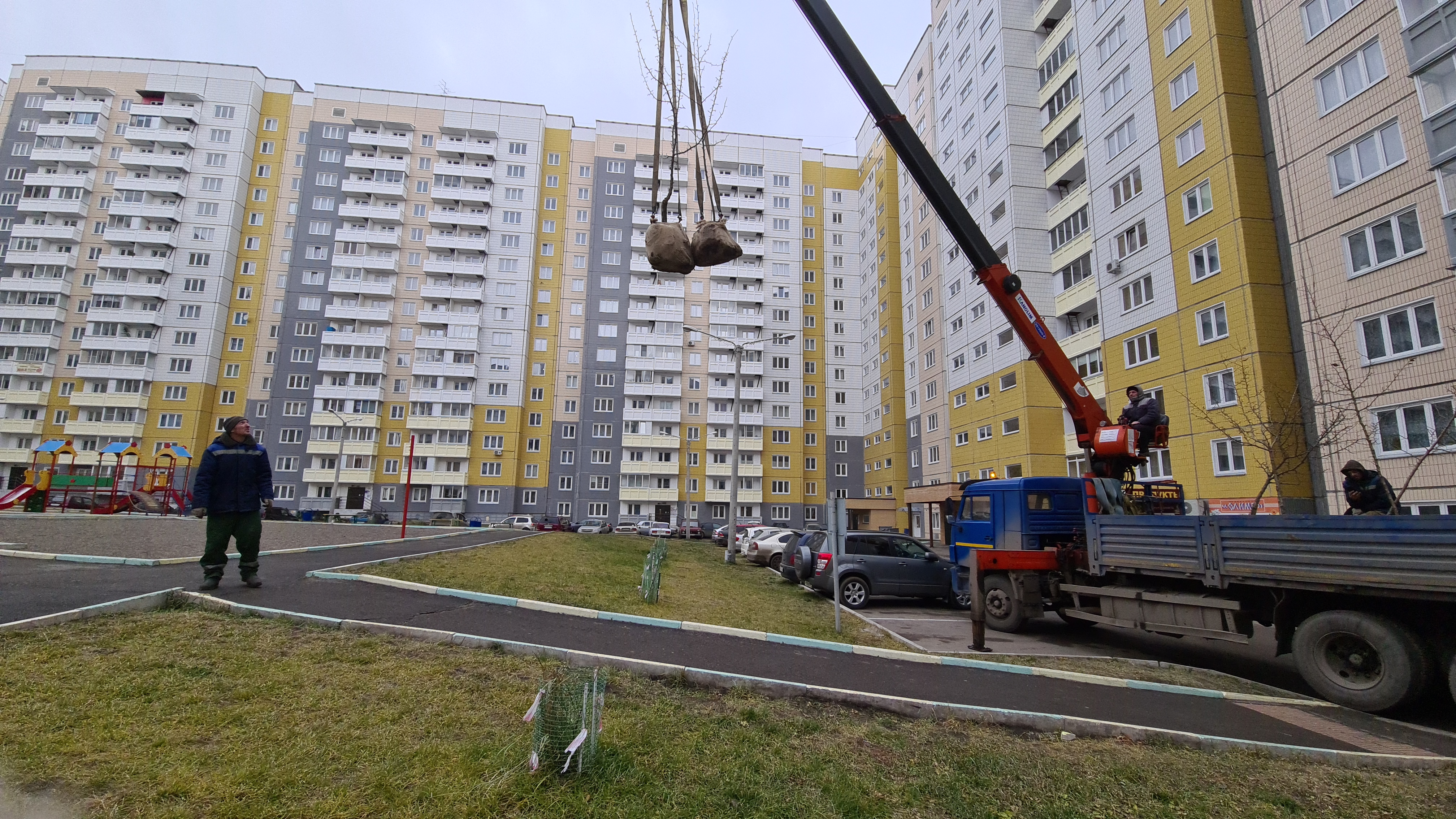 Дворы на ул. Ольховой украсят груши и ясени изображение 1