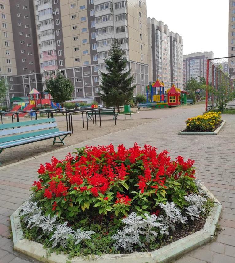Красоты наших дворов изображение 1