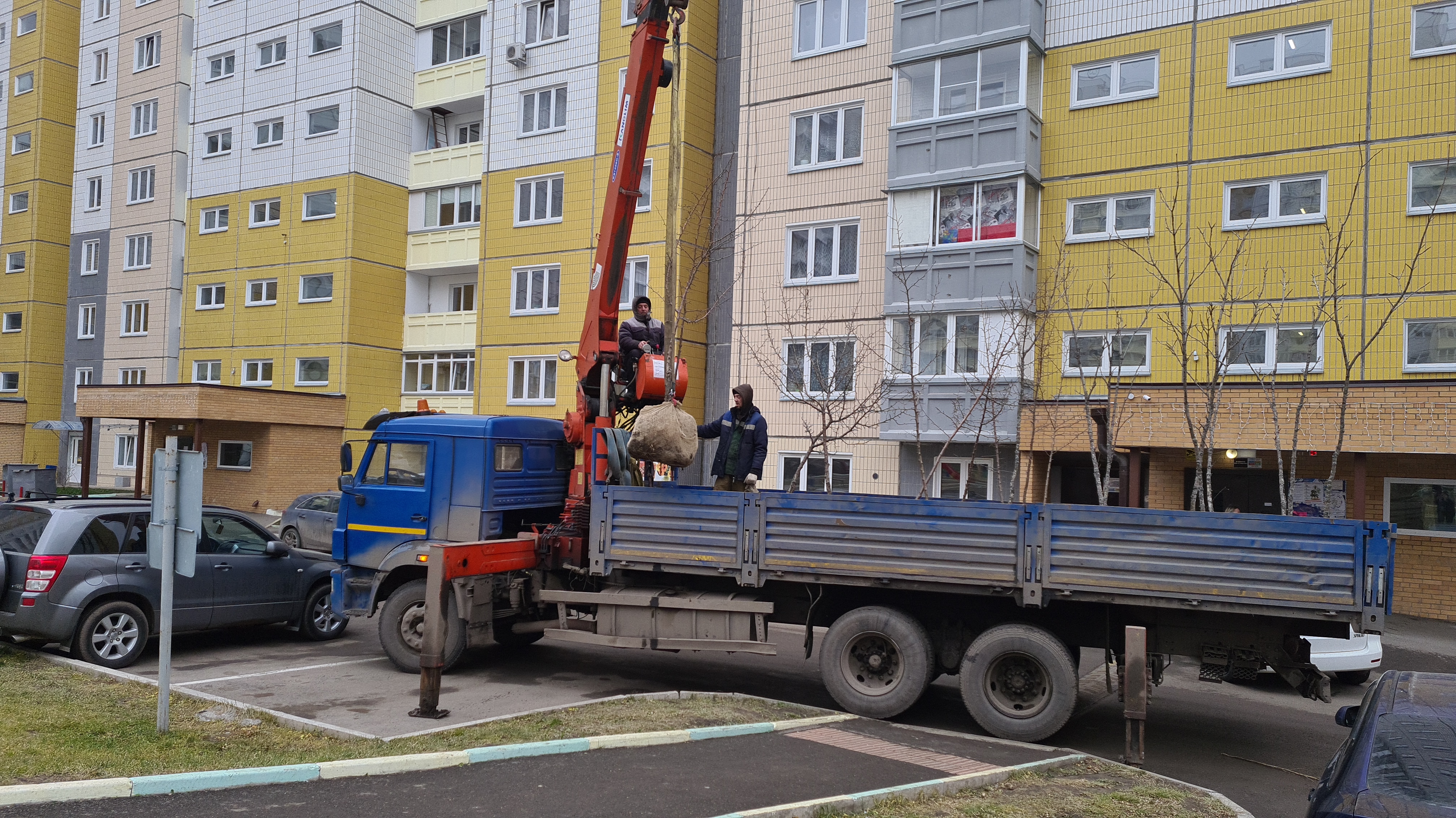 Дворы на ул. Ольховой украсят груши и ясени изображение 1