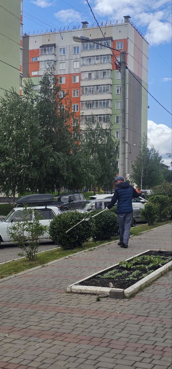Приступили в формовочной обрезке 