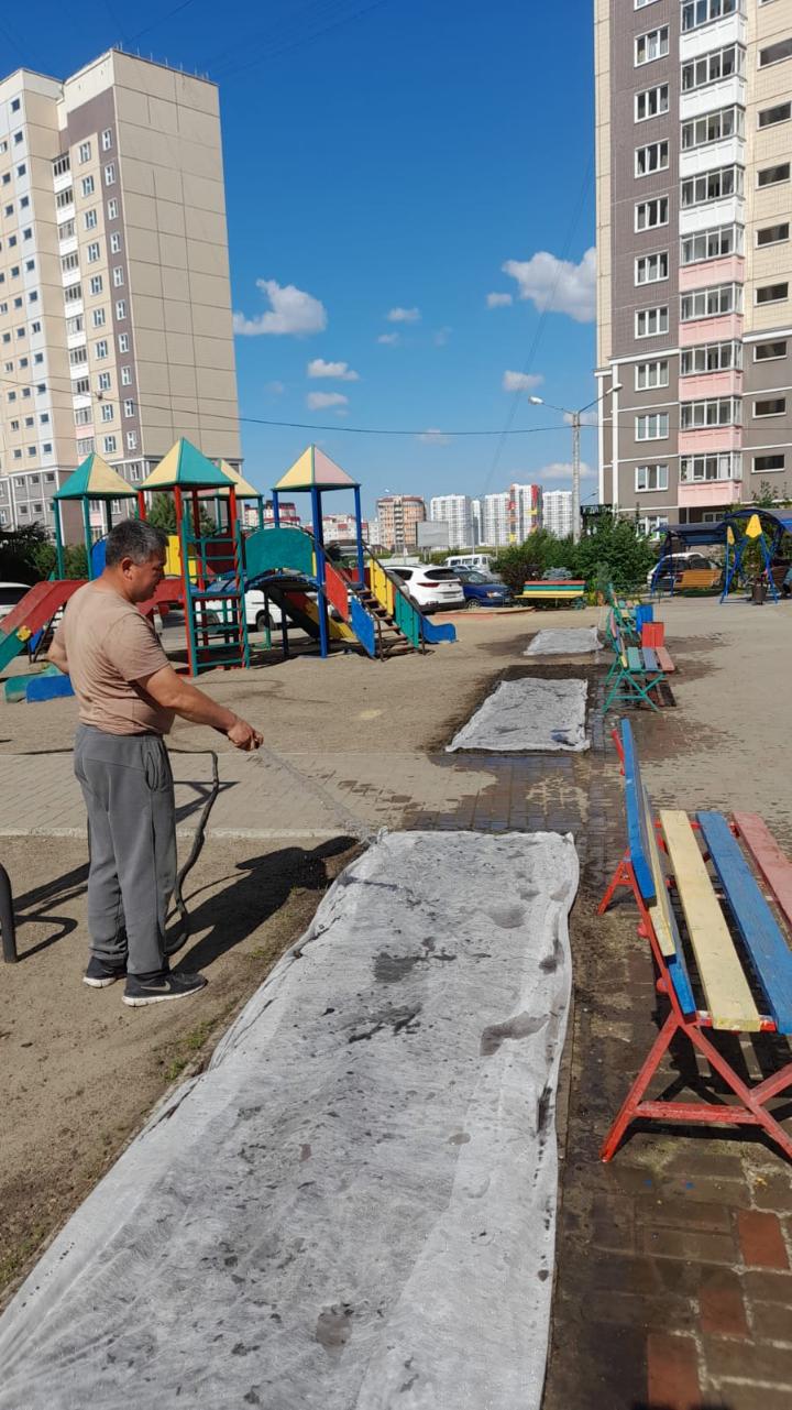 Газонная посевная во дворах