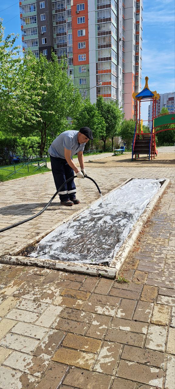 Поливать обязательно!