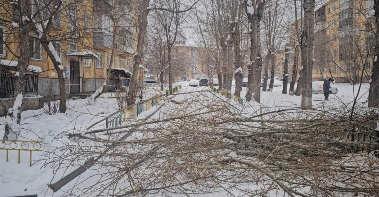 Во дворах проводится обрезка деревьев изображение 1