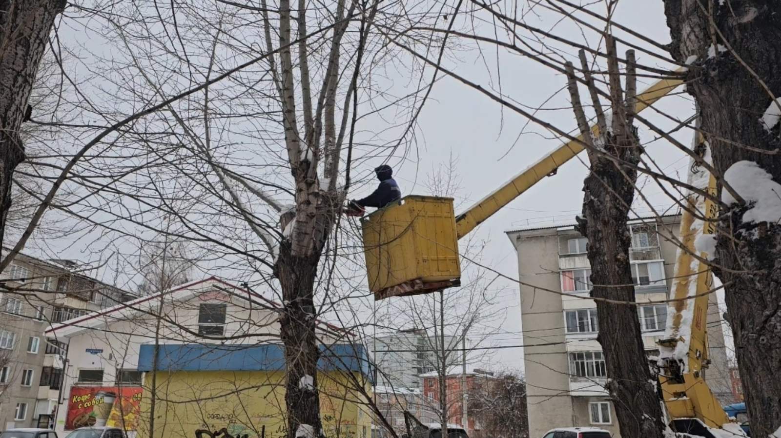 Во дворах проводится обрезка деревьев изображение 1