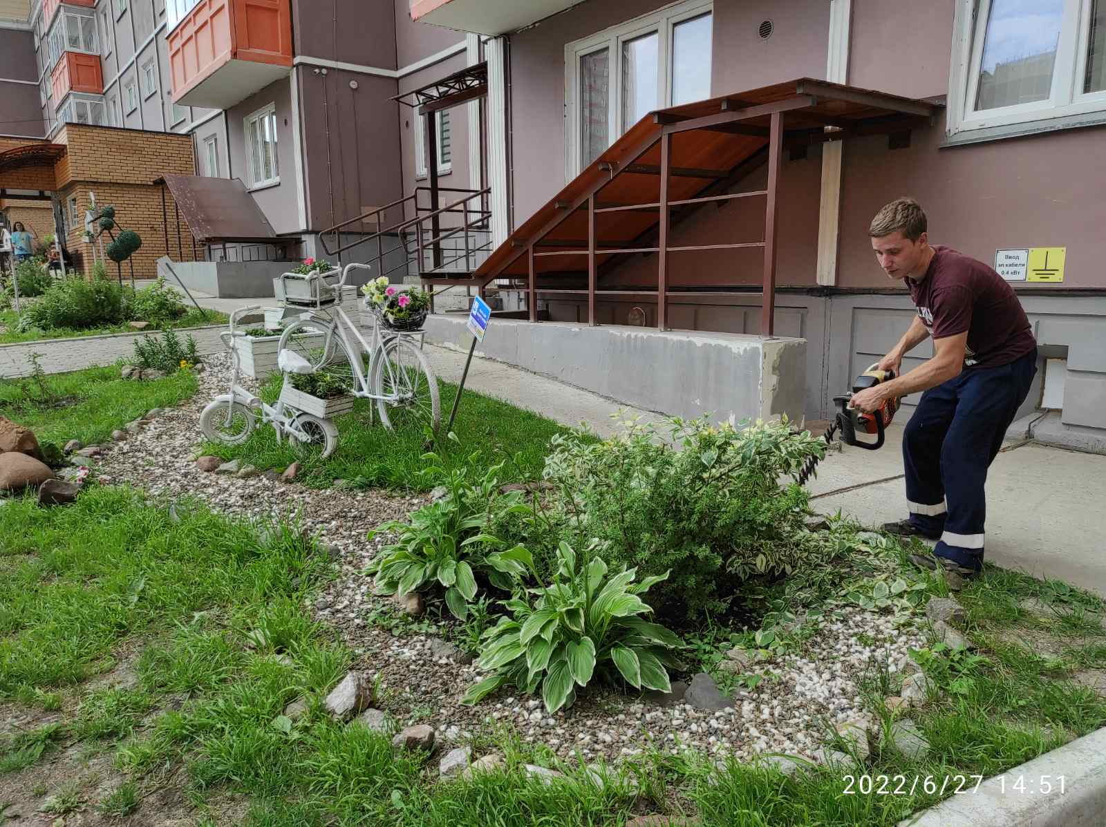 На наших клумбах кустарники в форме и цветы без сорняков изображение 1