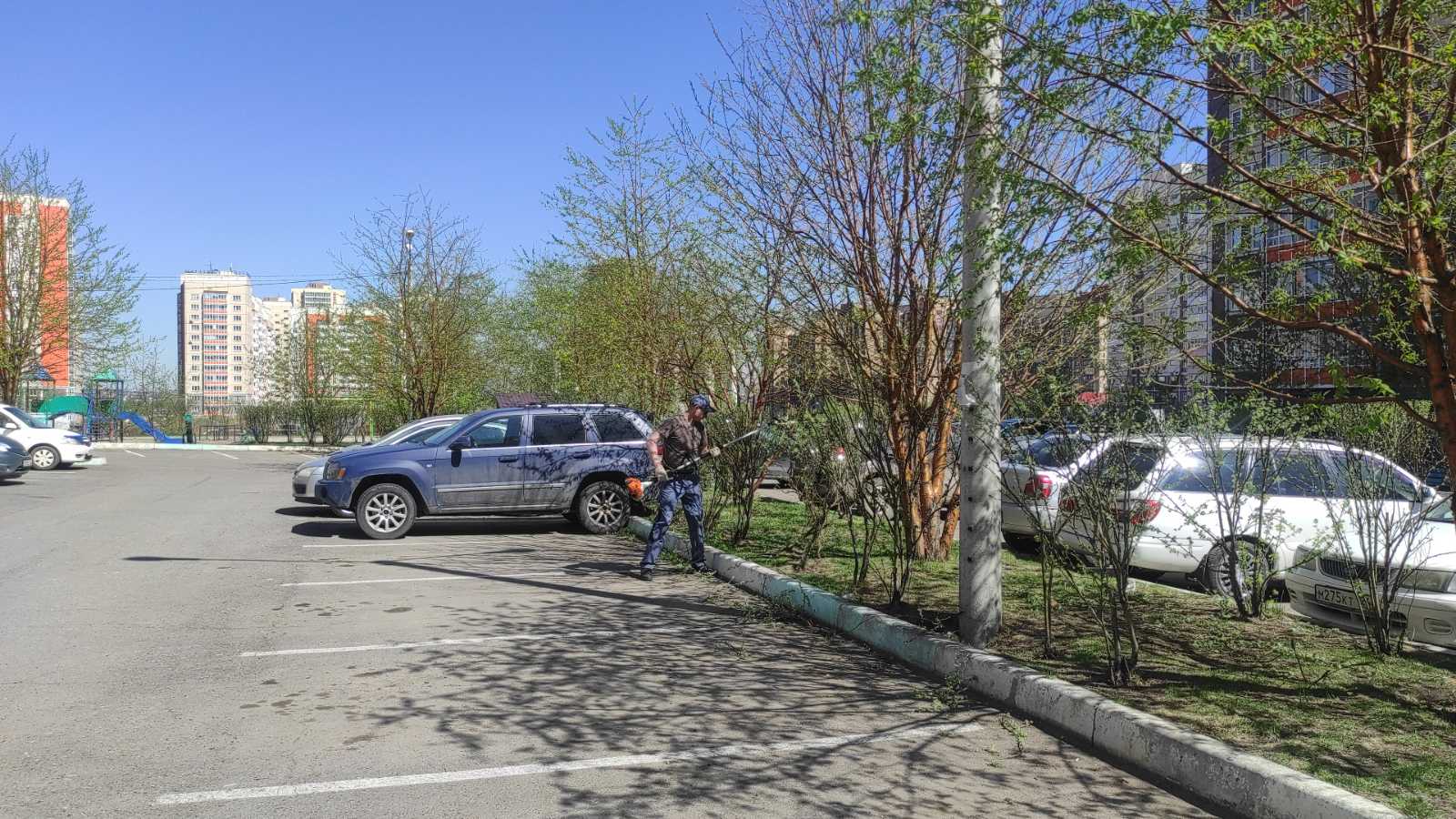 Придаем форму растениям