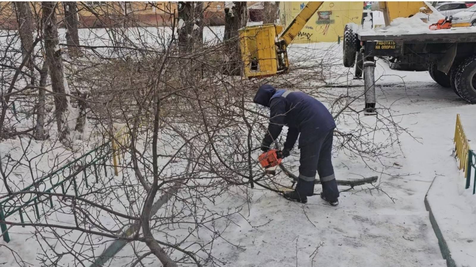 Во дворах проводится обрезка деревьев изображение 1