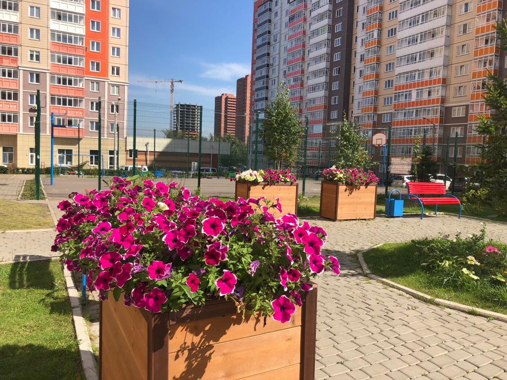 Красоты наших дворов изображение 1