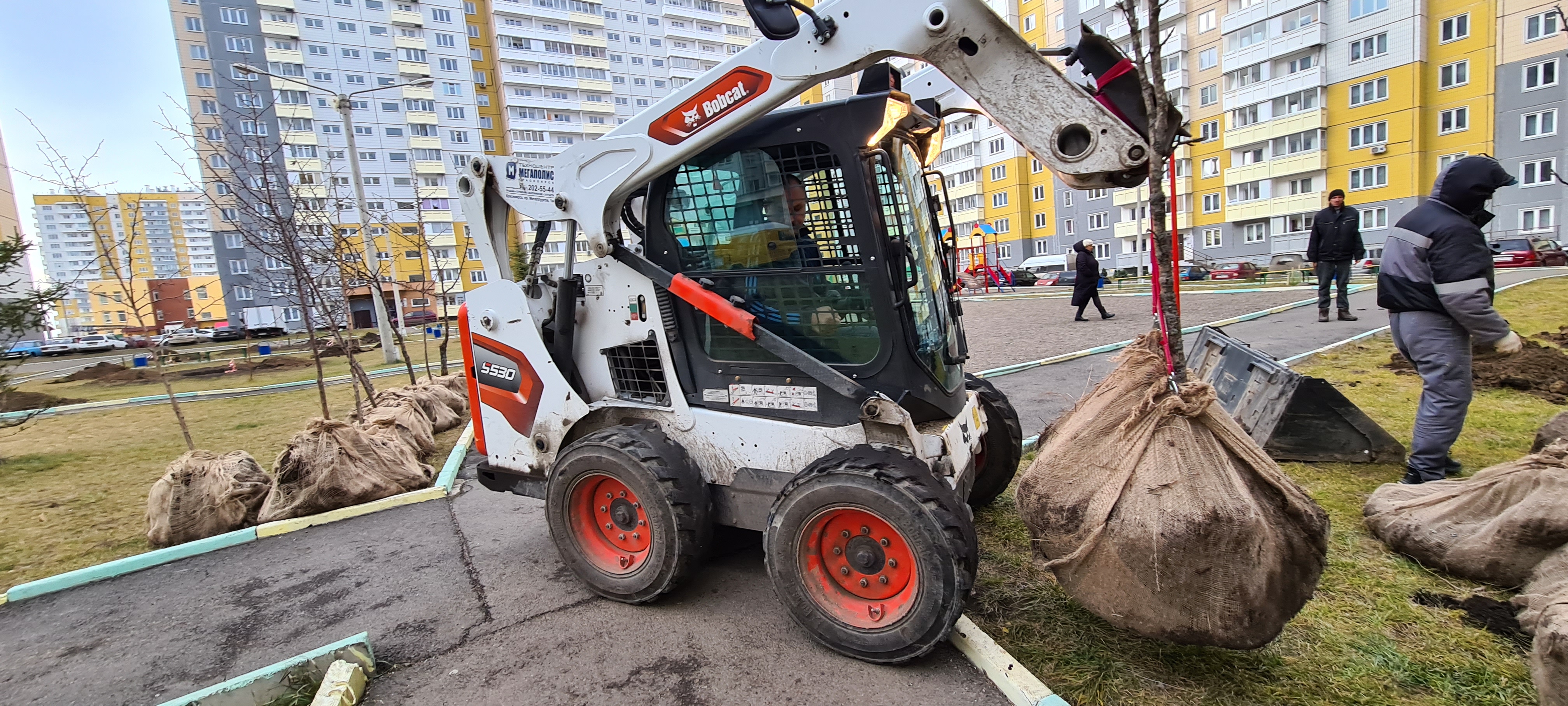 Дворы на ул. Ольховой украсят груши и ясени изображение 1