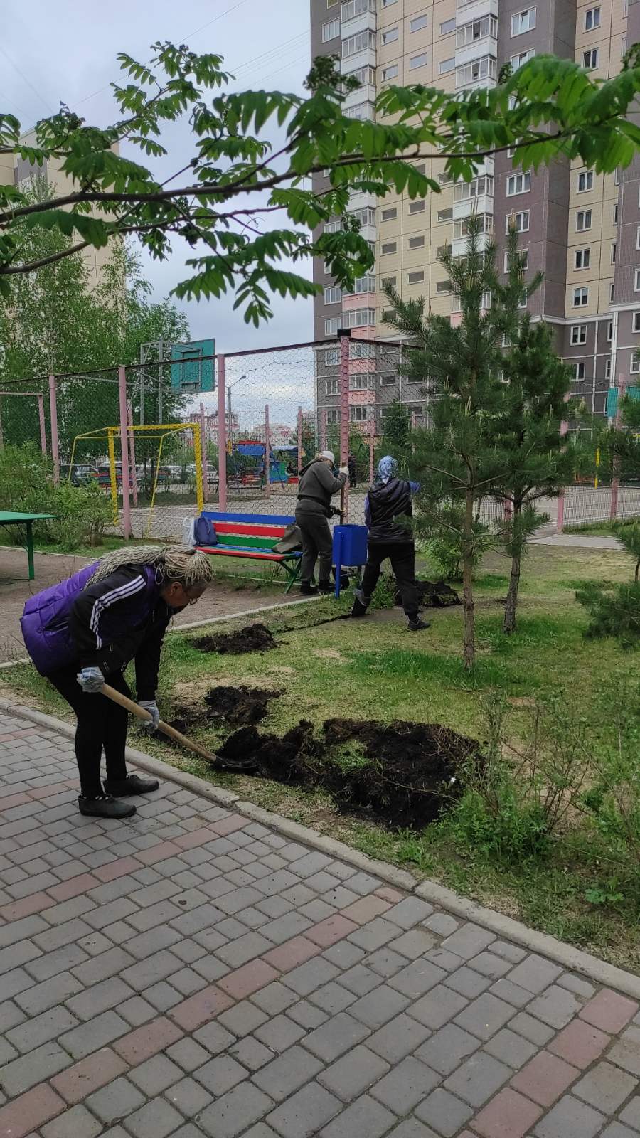 Пересадили кустарники на ул. Линейная, 105 изображение 1