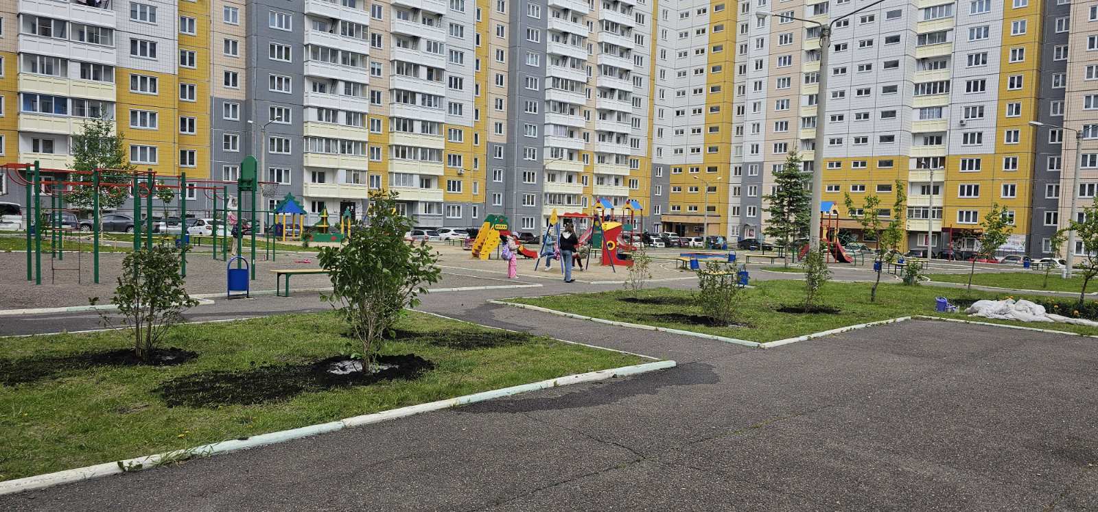 На ул. Ольховой высадили сирень изображение 1