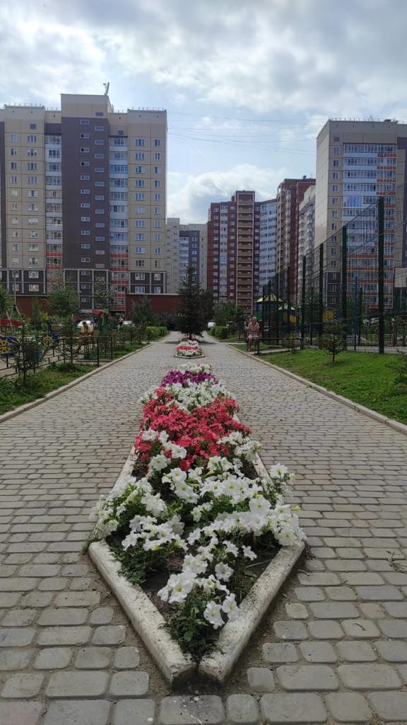 Красоты наших дворов изображение 1