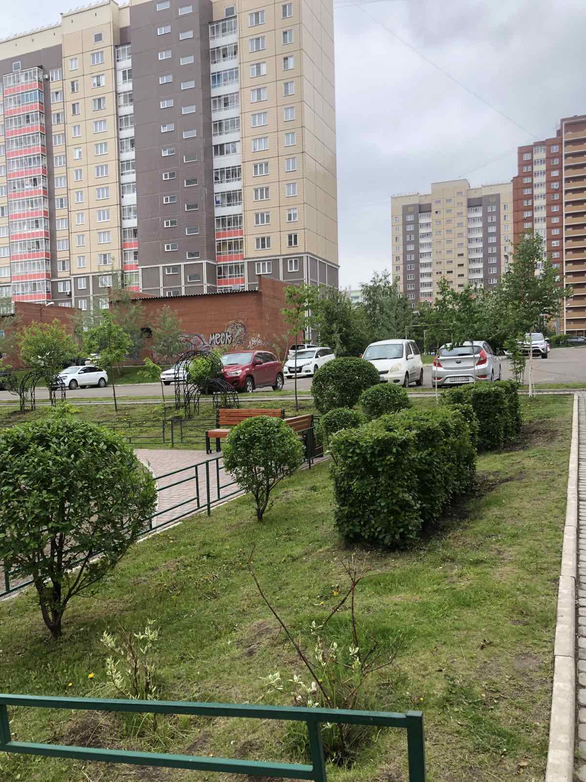 Делаем "модельные" стрижки кустарникам