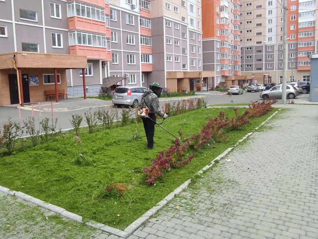 Во дворах домов идет покос травы изображение 1