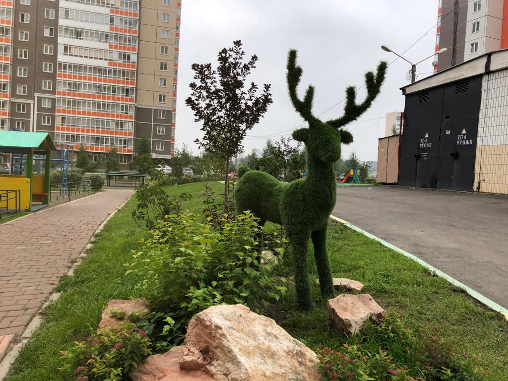 Красоты наших дворов изображение 1