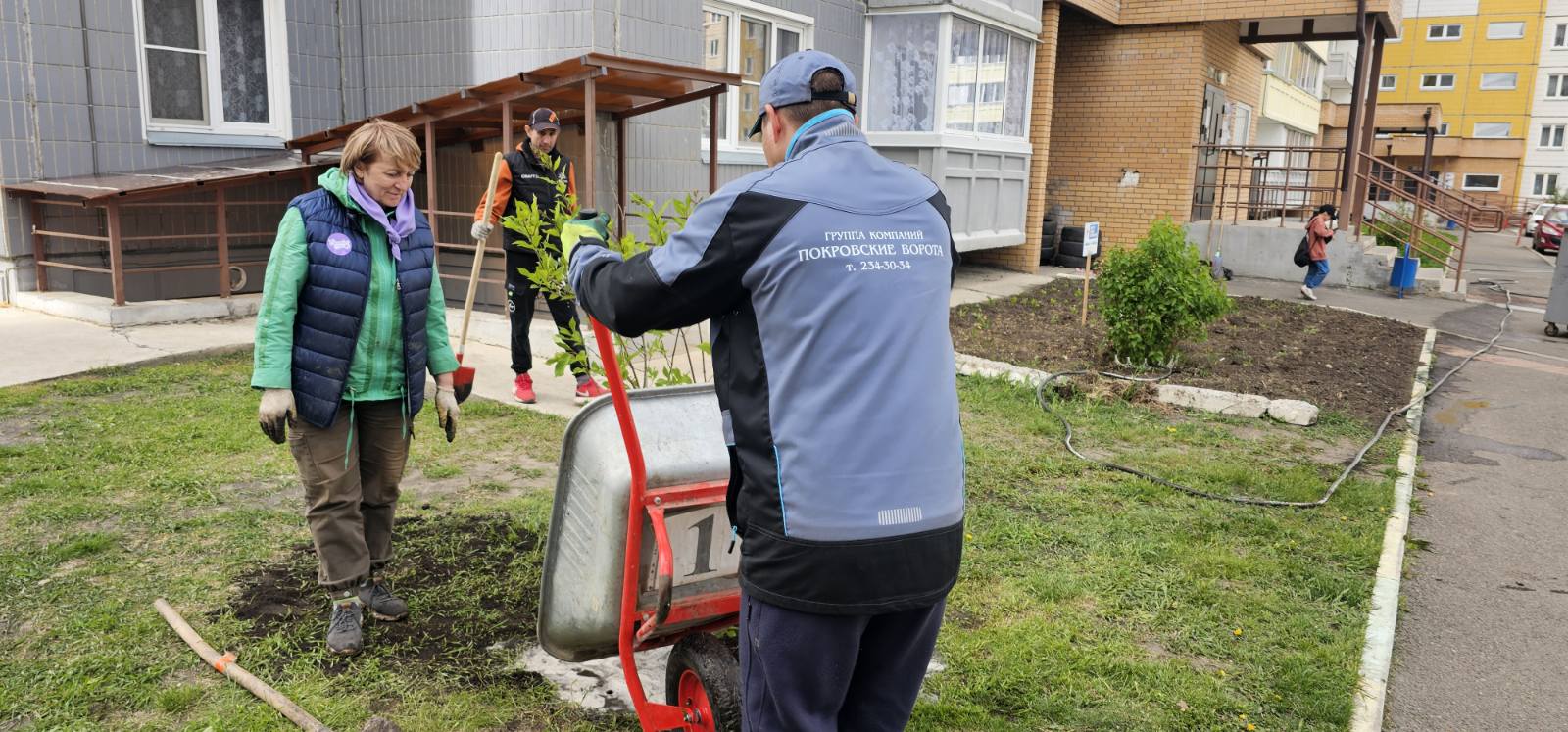 На ул. Ольховой высадили сирень изображение 1