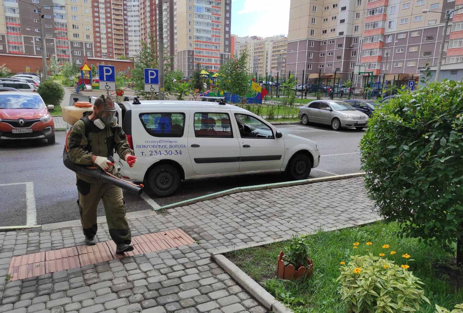Дезинсекция по графику изображение 1