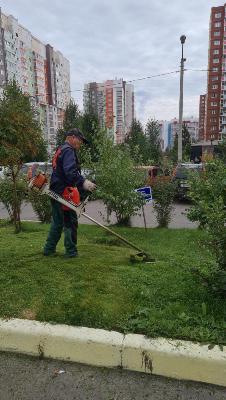 Во дворах домов идет покос травы Во дворах домов идет покос травы
