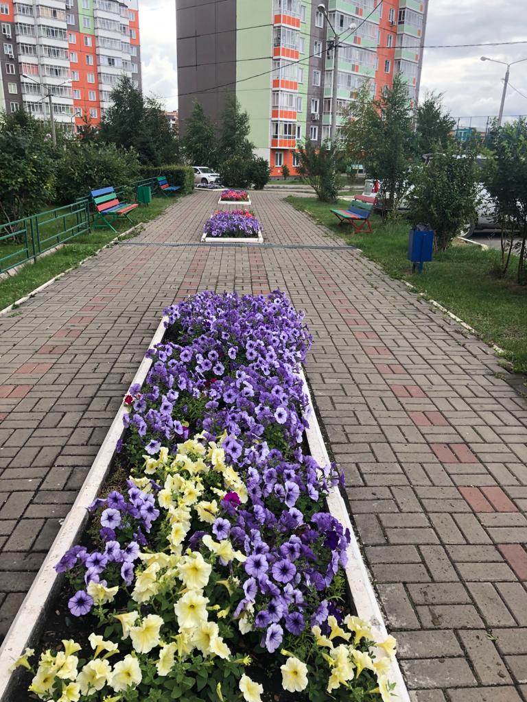 Красоты наших дворов изображение 1
