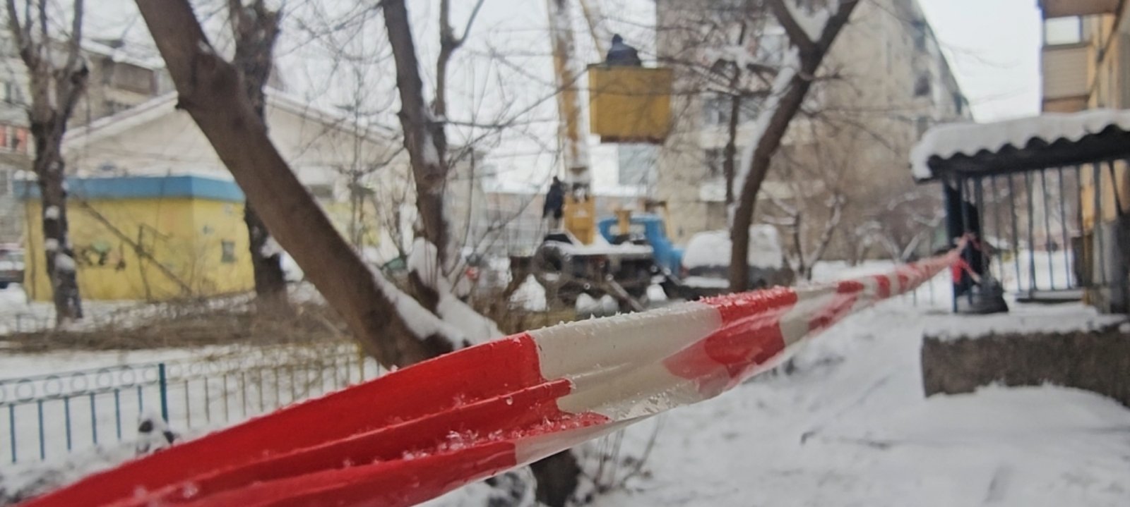 Во дворах проводится обрезка деревьев изображение 1