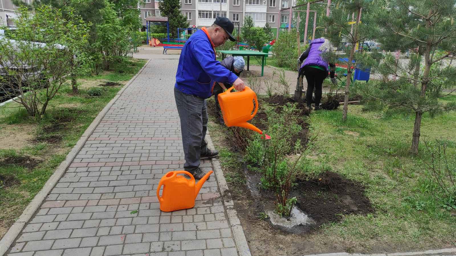 Пересадили кустарники на ул. Линейная, 105 изображение 1