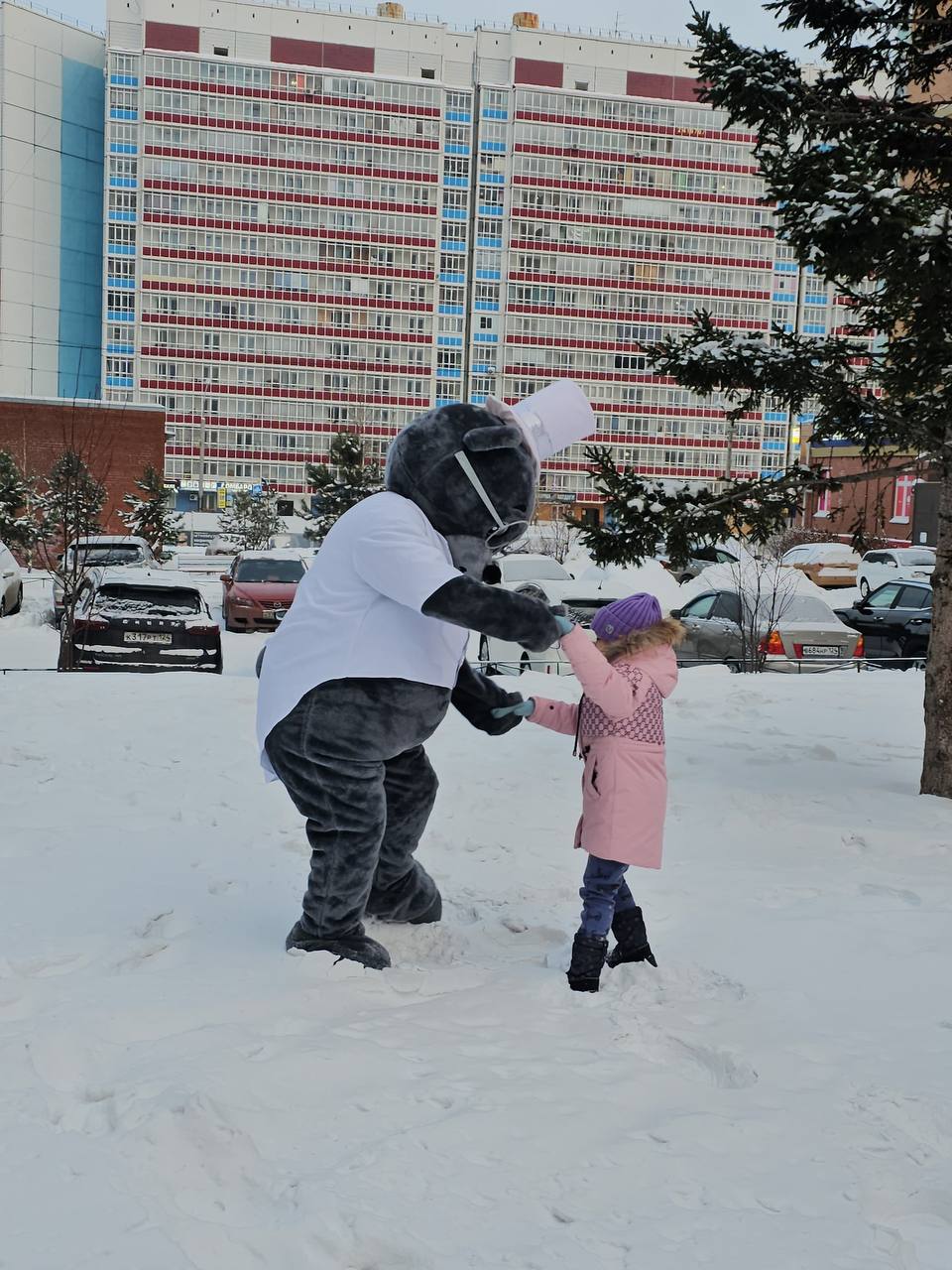 В наших дворах замечены медведи!
