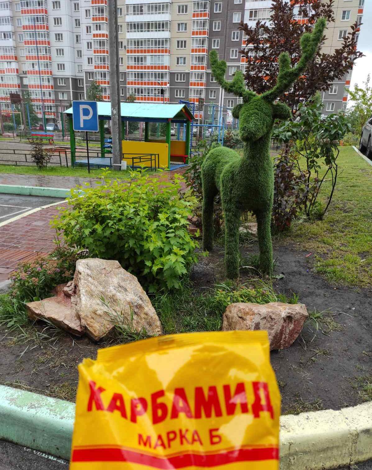 Проводим подкормку цветов и деревьев во дворах изображение 1