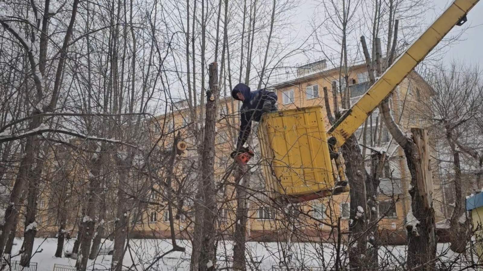 Во дворах проводится обрезка деревьев изображение 1