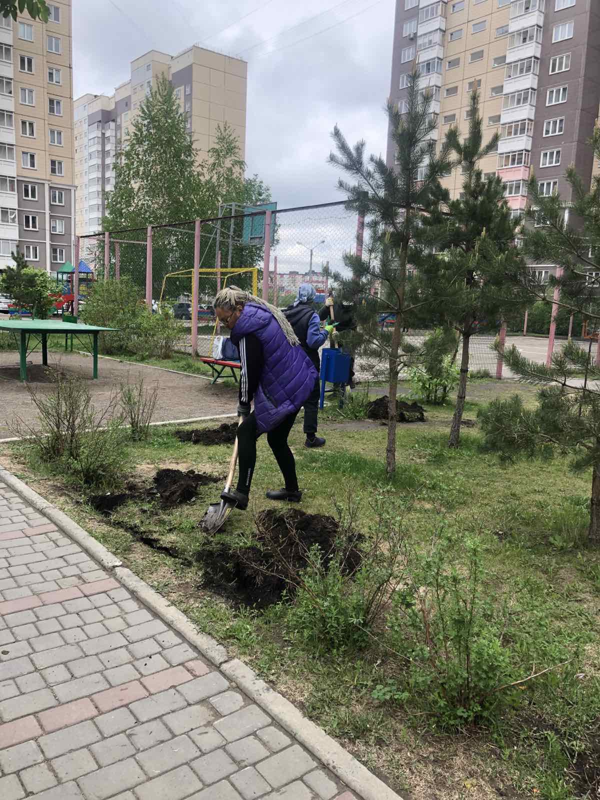 Пересадили кустарники на ул. Линейная, 105 изображение 1