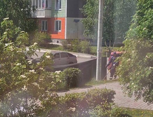 Покос с защитой Покос с защитой