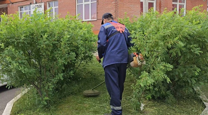 Приводим в порядок газоны и зеленые зоны