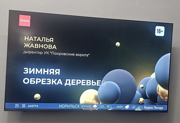 Ответили журналистам Примы на вопрос "Что важно планировать зимой?" Ответили журналистам Примы на вопрос "Что важно планировать зимой?"