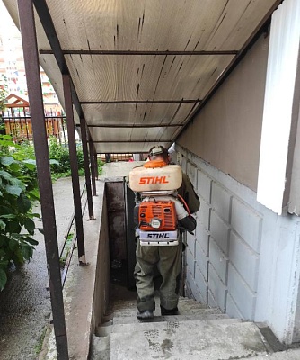 Дезинсекция по графику