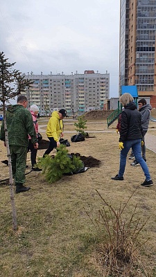 Молодые деревца высадили жители во время субботника