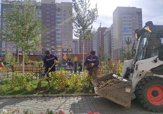 Негодному грунту на газоне не место