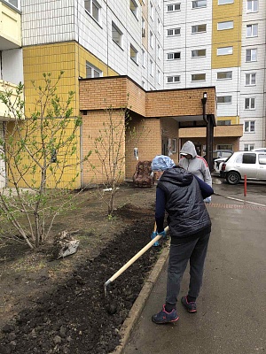 Готовимся раскрашивать дворы