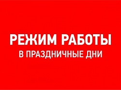 Мы работаем в праздничные дни. Мы работаем в праздничные дни.