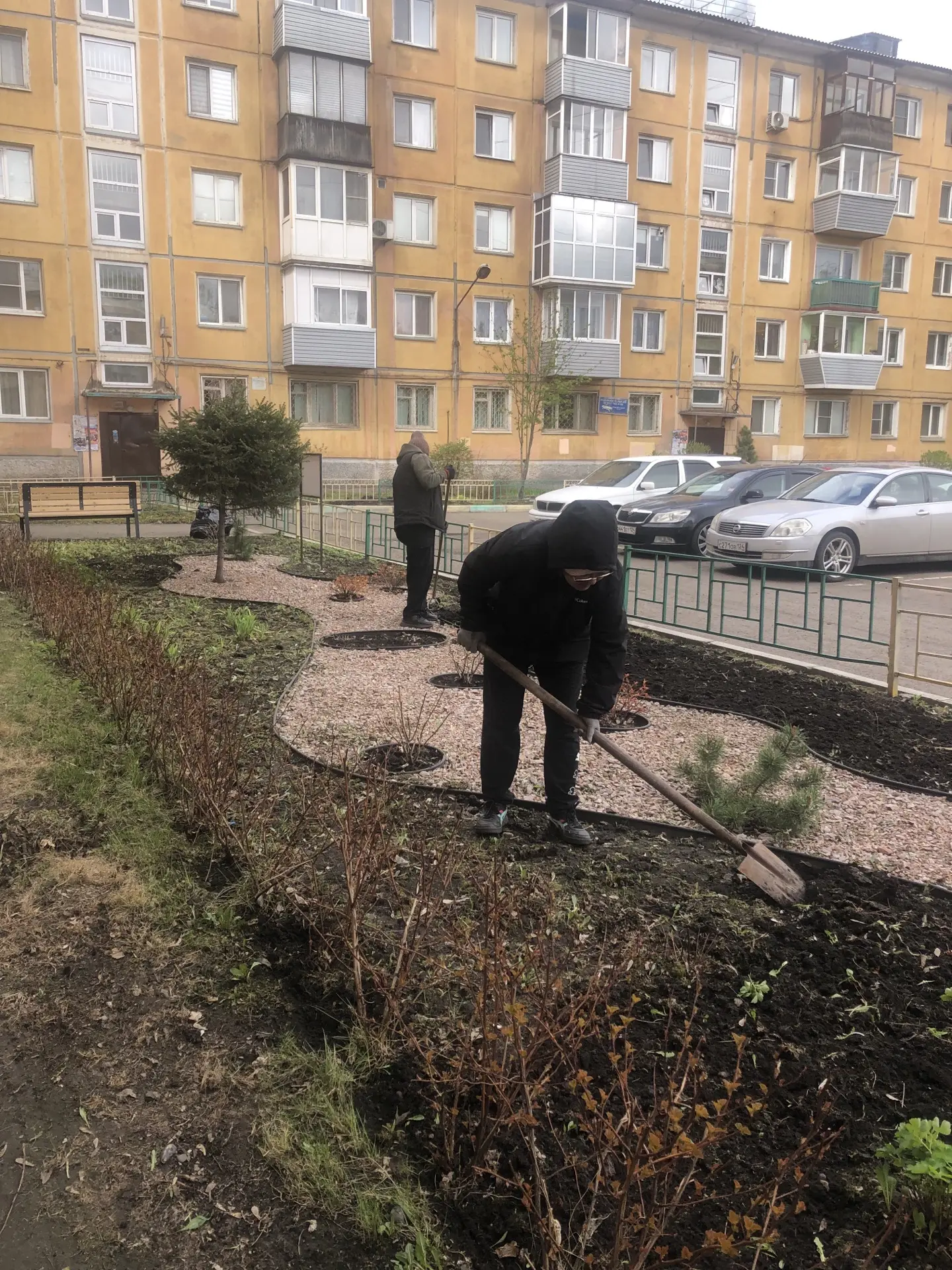 Уход за многолетниками и посев газона. изображение 1