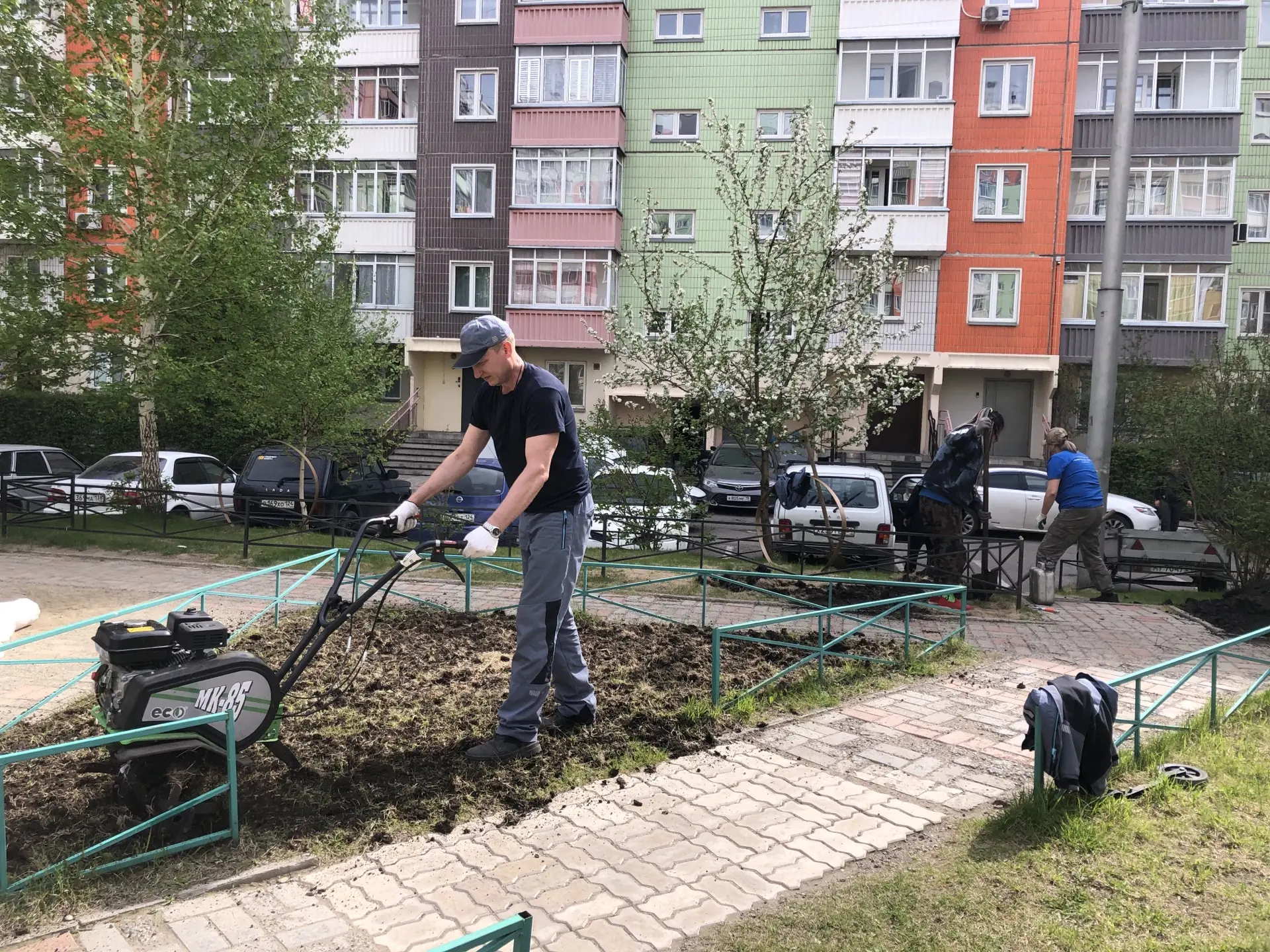 Процесс работы по озеленению ул. Чернышевского, 71 изображение 1