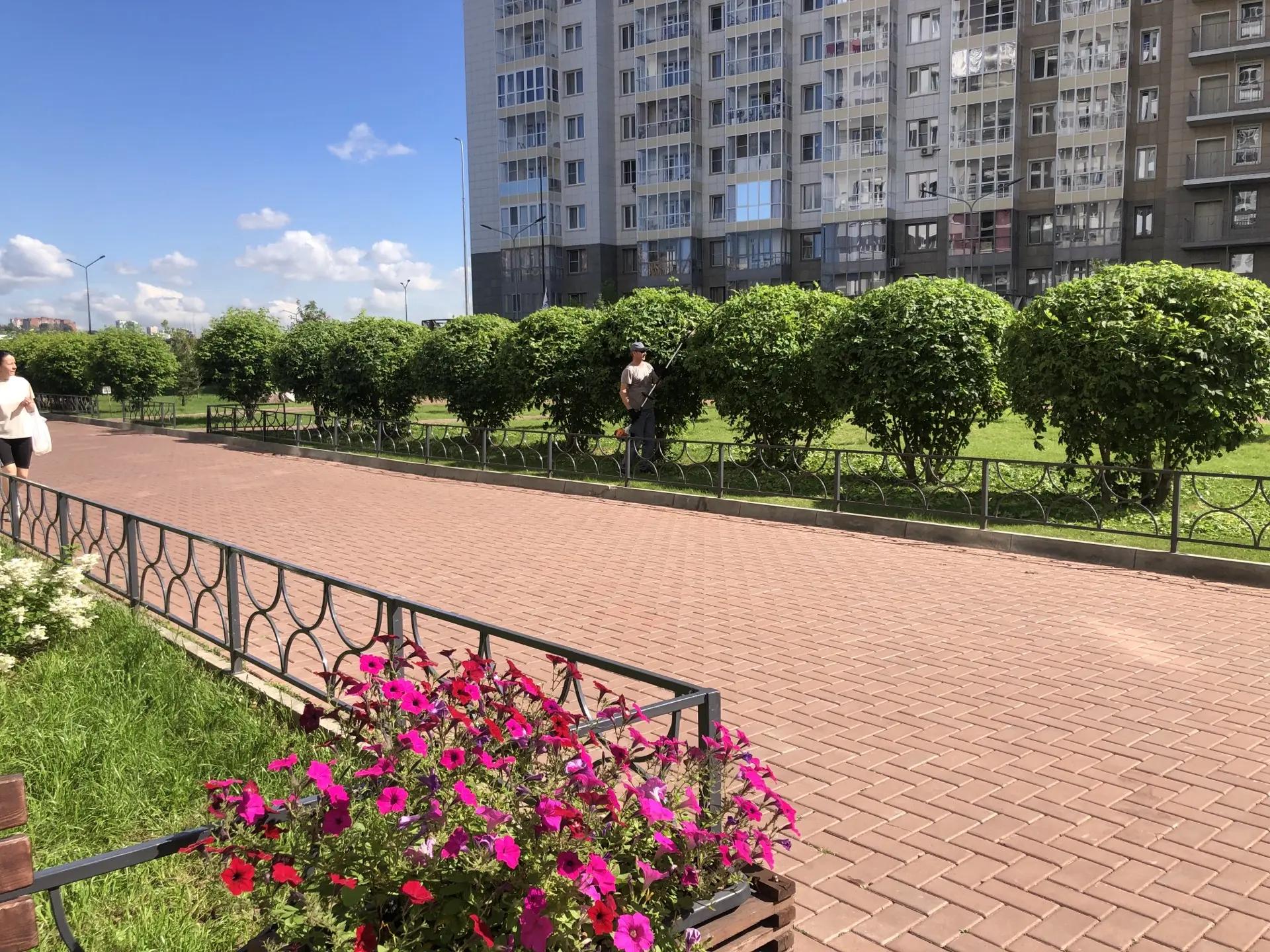 Благоустройство ул. Лесников, 31 изображение 1