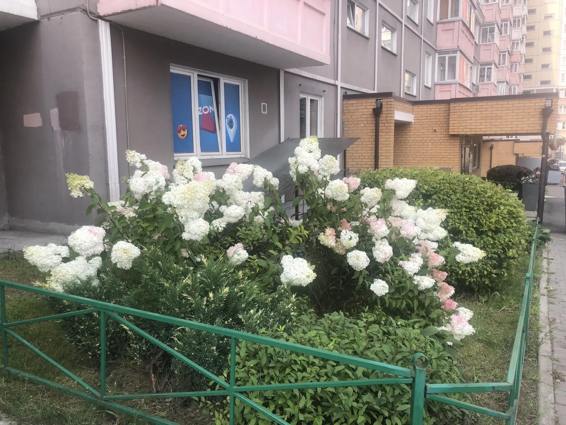 ул. Караульная, 48 изображение 1